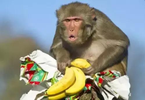 昆明周边游玩元旦景点推荐,元旦昆明周边游玩景点推荐