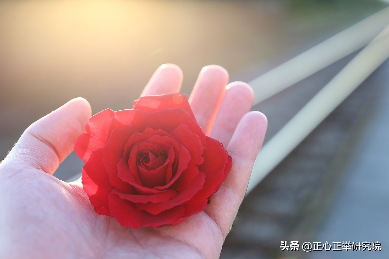 百毒不侵的人擅长做什么,面对优秀的人怎么做到不卑不亢