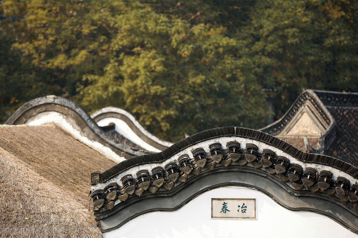 9.9包邮的茶叶,淘宝9.9茶叶