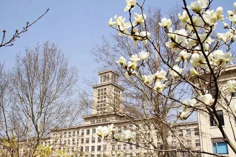 天津算有名的城市吗,天津有什么是全国第一