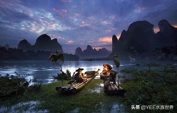 鱼鹰老人：可不能够，不要忘了我们