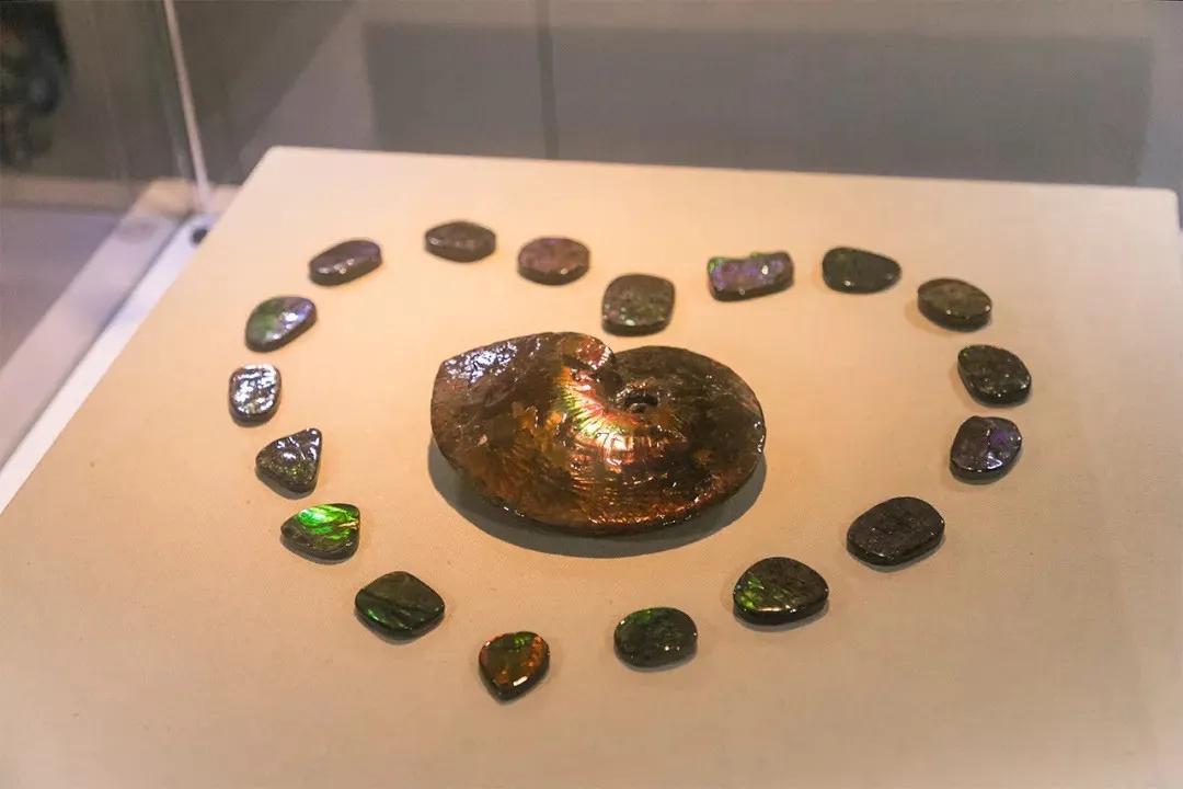 深圳宝安哪里有网红打卡的地方,深圳宝安打卡好玩的地方推荐