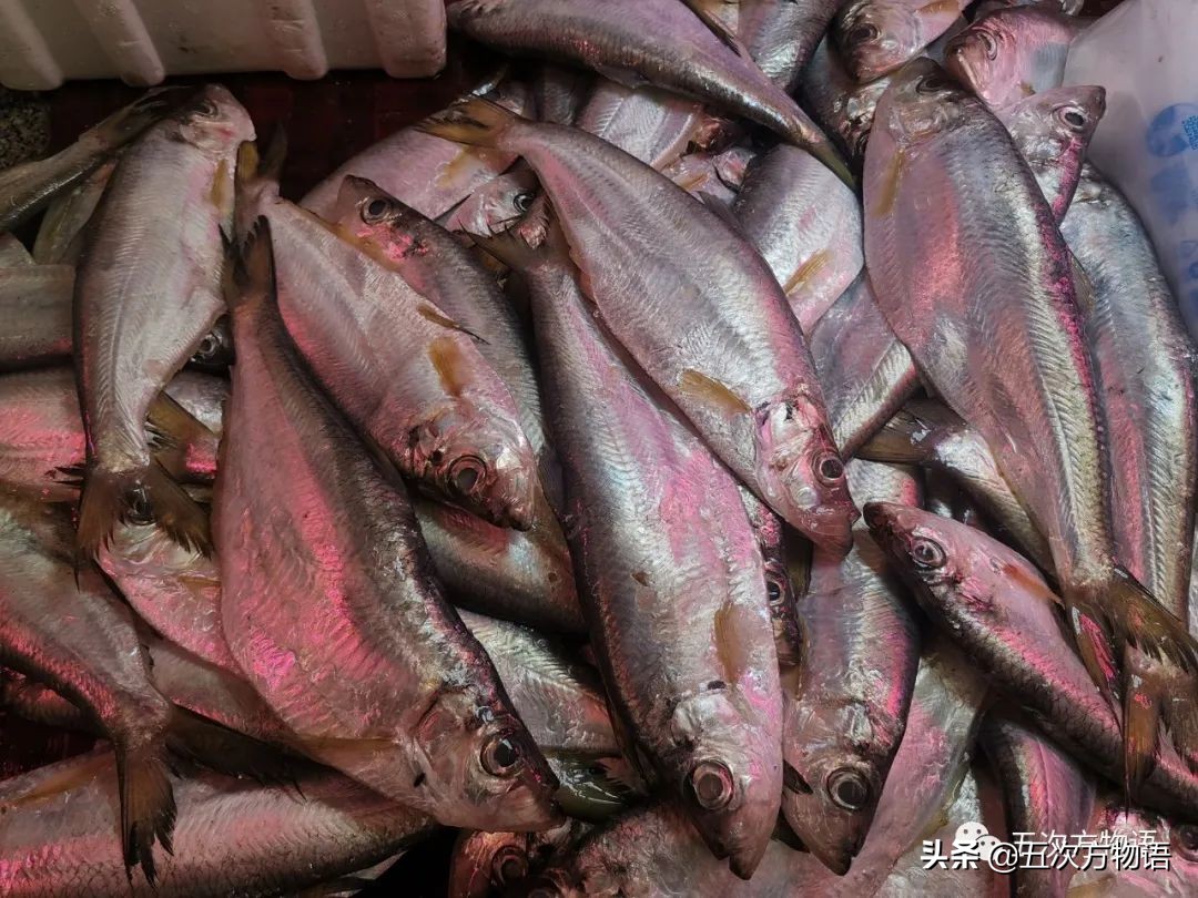 青岛菜市场分布图,青岛海鲜市场价格表今日