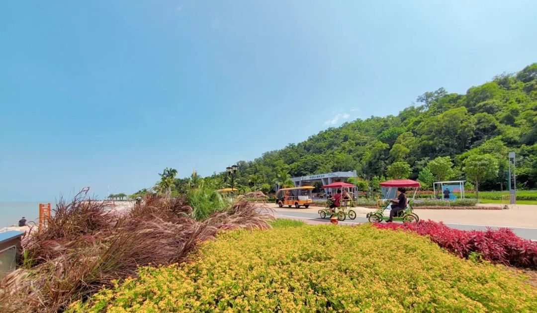 珠海的一个岛屿生活淳朴安静,珠海的几个岛屿一天能耍完吗