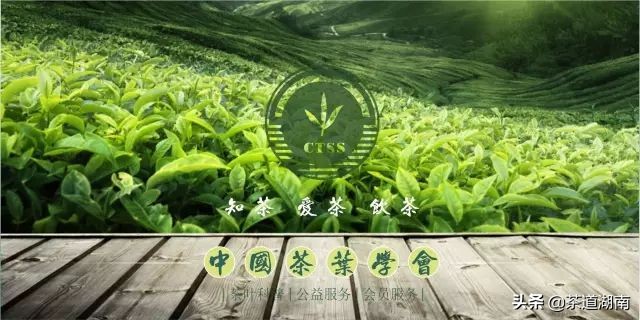 祁门红茶工夫红茶知识,祁门工夫红茶和祁红毛峰工序