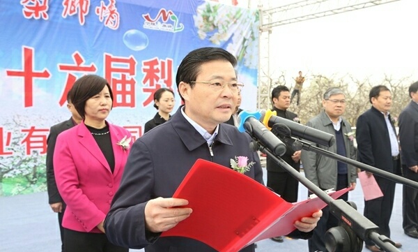 宁陵第十八届梨花节开幕,宁陵今年梨花节在什么地方举行
