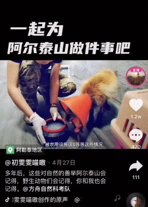谁在保护金丝猴,谁在保护北极熊