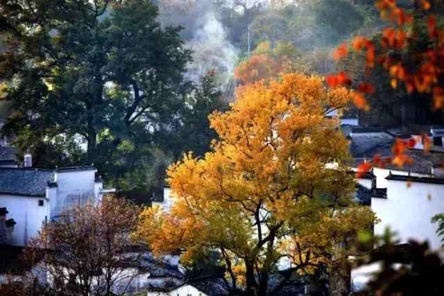 重阳游安徽，这几个登高处，今年美出了新高度