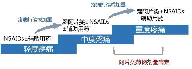 免疫治疗：控制癌症进展缓解癌痛及其它疗法治疗性疼痛