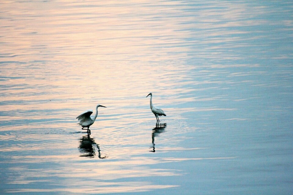 最容易被用错的120个成语分类辨析,中学生易用错成语举例子说明