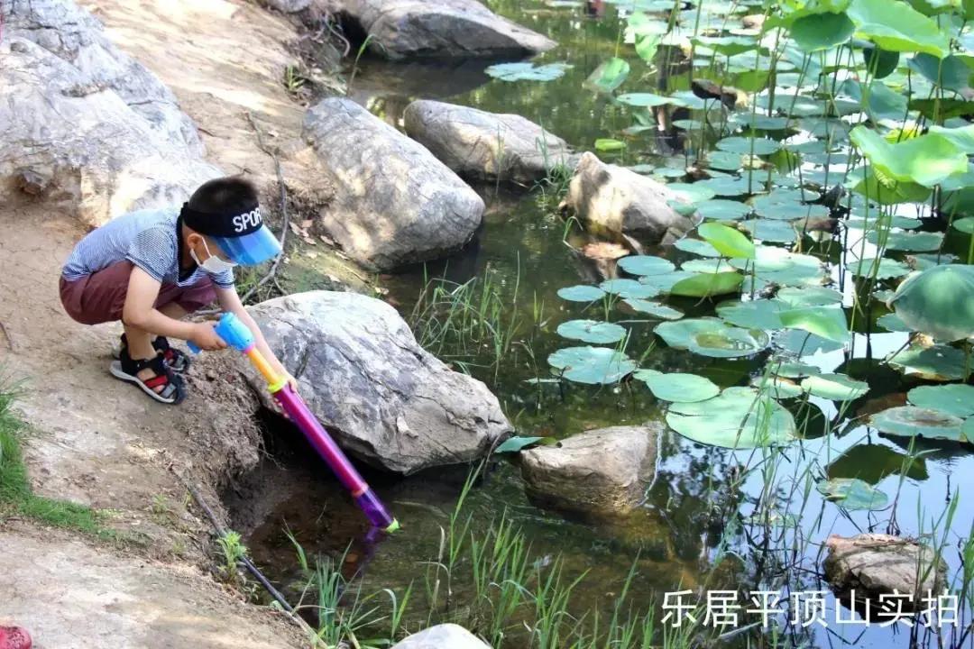 平顶山市新城区值得买的房子,平顶山新城区哪个小区值得买