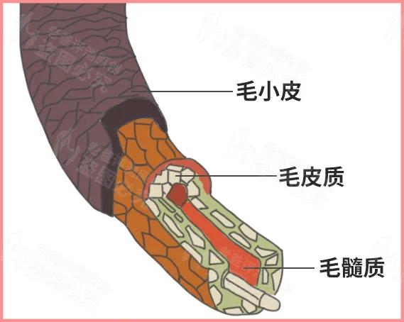 评测了9款护发精油,护发精油最新测评