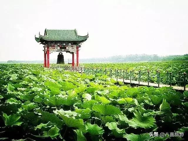 山东夏天值得去的旅游景点,夏天合适去的湖泊