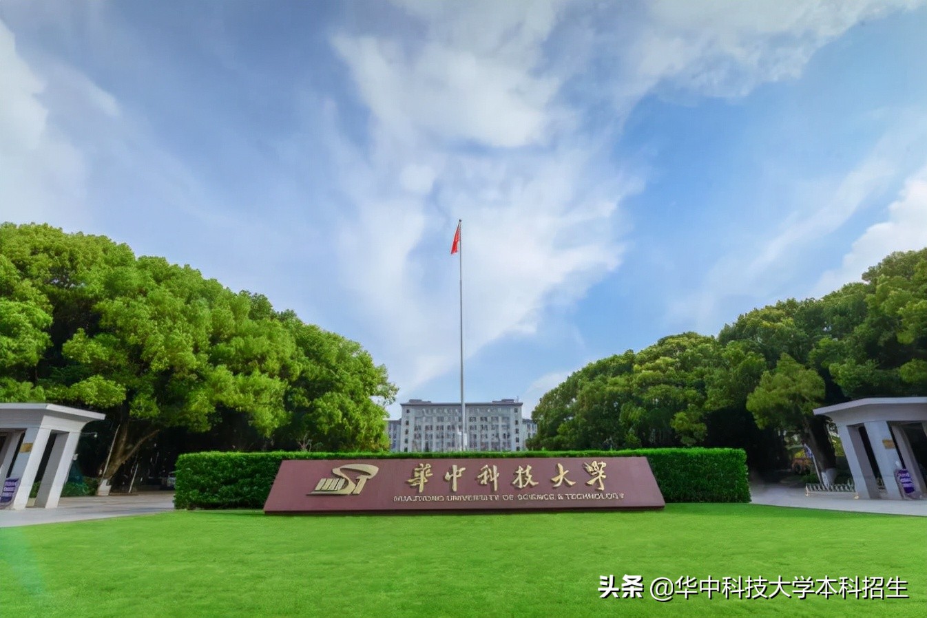 晚期肝癌治疗新曙光！华中科技大学这项科研成果，创下全球首次！