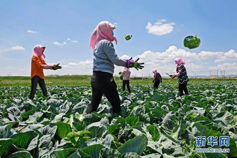 彪炳史册的脱贫攻坚战,伟大壮举中国脱贫攻坚成就展视频