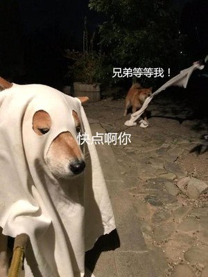 沙漠大干皮深层补水面膜推荐,合适沙漠大干皮用的保湿面膜