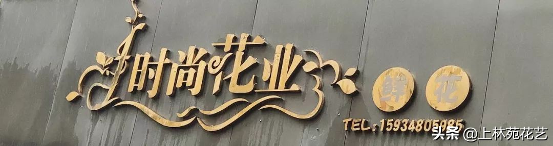 西安新年鲜花批发,西安鲜花店批发进货渠道