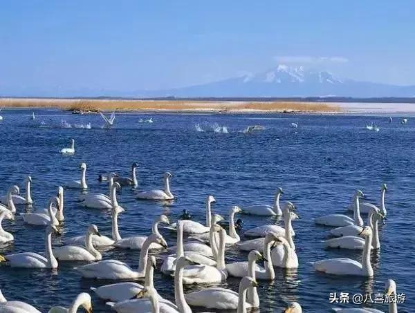 山东夏天值得去的旅游景点,夏天合适去的湖泊