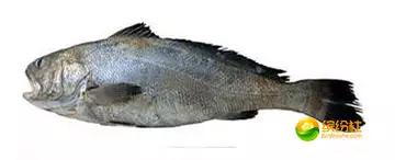 舟山海鲜代加工攻略,最全舟山海鲜攻略