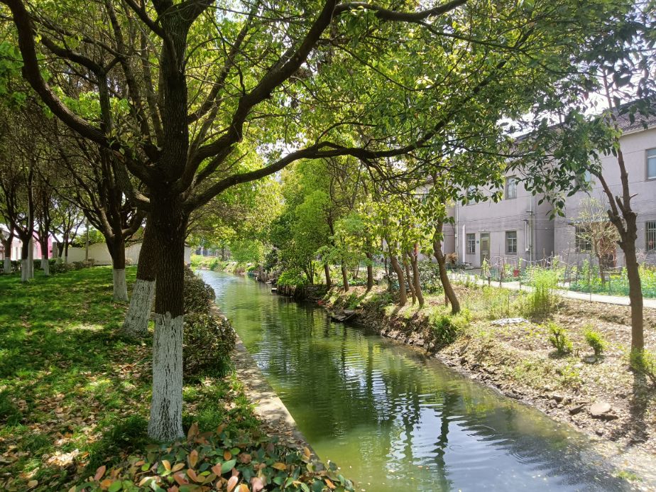 金泽古镇成善坊,上海古镇金泽桥