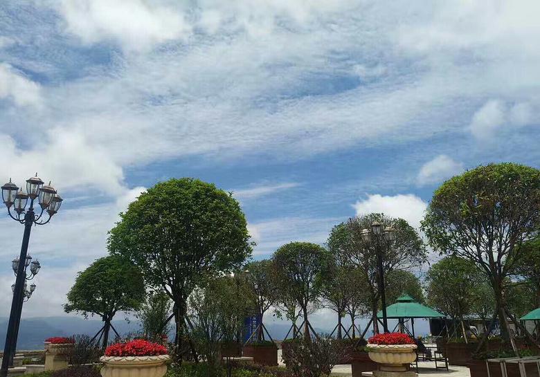 重庆夏天最好的避暑胜地有哪些,重庆合适避暑的地方有哪些