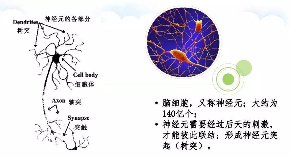 如何通过训练提高大脑的思维能力,怎么训练你的大脑正向思考