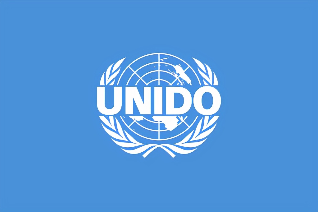 国际组织旗帜标志一览,象征世界和平的国际组织旗帜