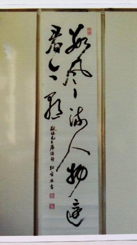 戴学仁魏树华夫妇的幸福故事,白浪情活动