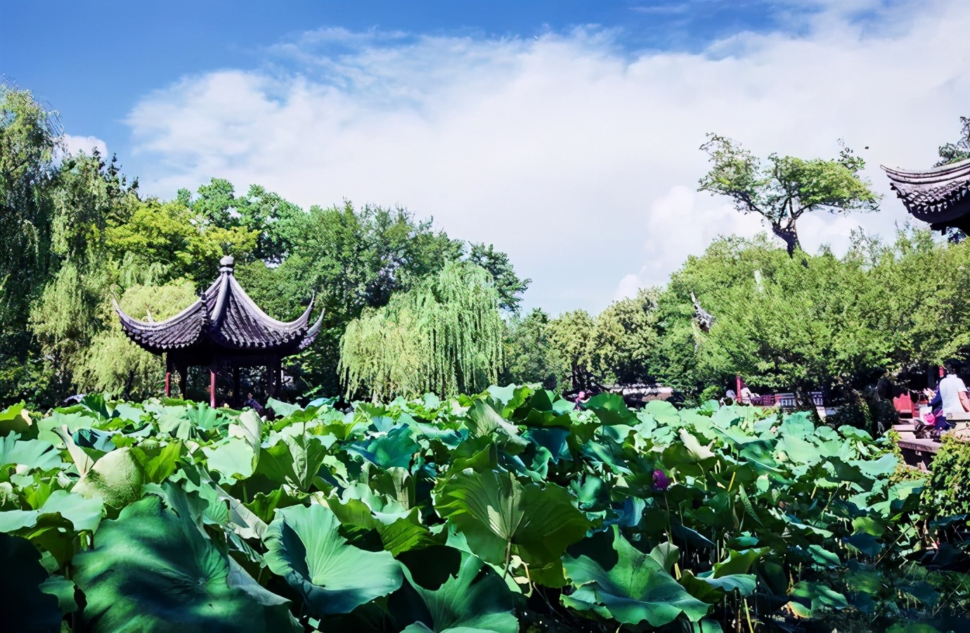 去苏州旅游的一连串旅游攻略,去苏州旅游攻略必备清单大全