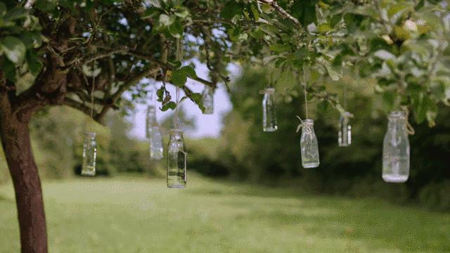 幼儿园公众号，想说爱你不容易