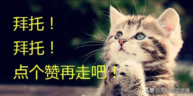 苹果概念股有哪些,苹果概念龙头股有哪些
