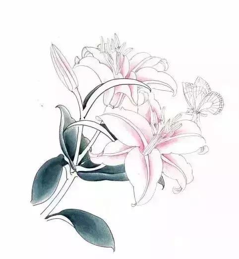 工笔百合花朵设色步骤,工笔重彩油画百合