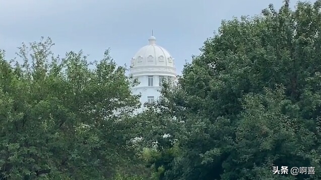 沈阳北陵公园的树,沈阳市北陵农场红枫林
