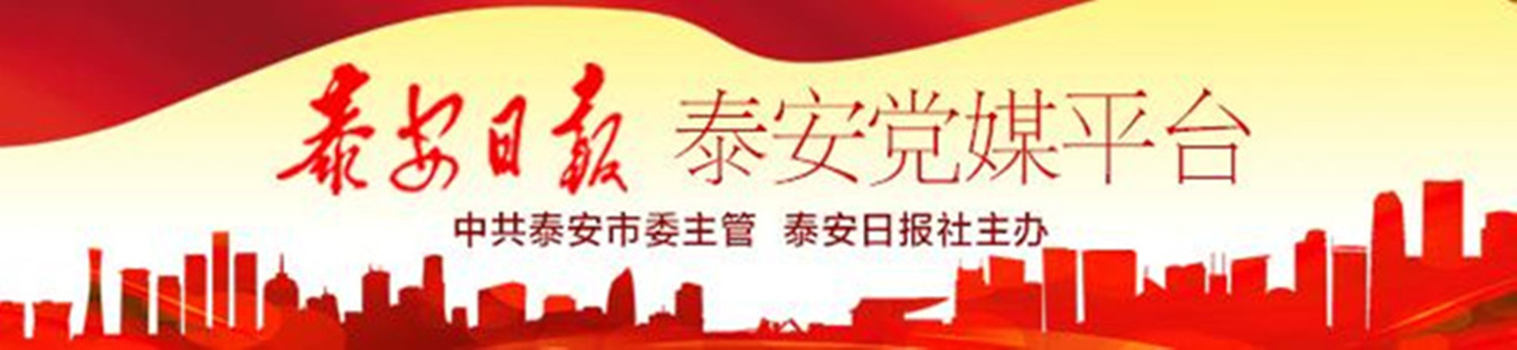 泰山石膏最新项目,泰山石膏高质量发展盛会