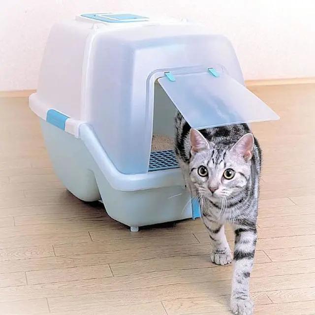 猫咪不会用滚珠怎么教,猫咪不会埋屎只会刨猫砂盆