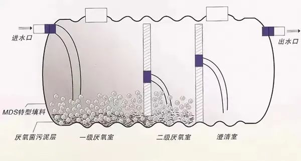 一人一年就产生近300斤粪便，全球70亿人的屎都去哪儿了？