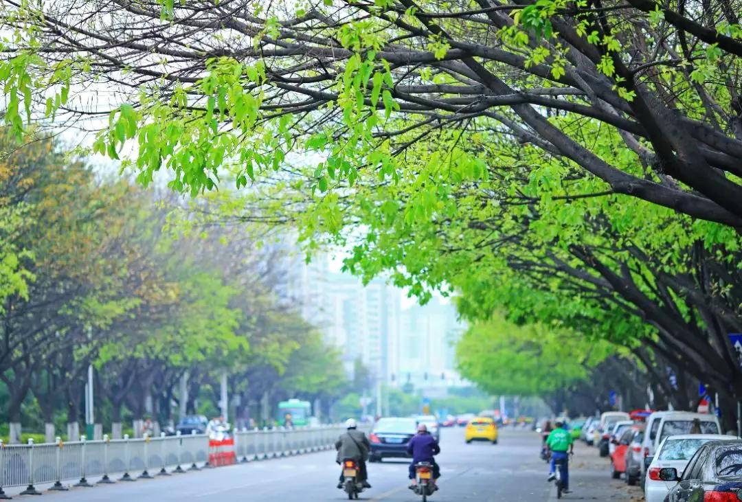 龙岩的美不用多说，6个B就能够形容