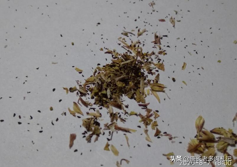多肉播种能够用生根粉吗,播种的多肉一般多久长大