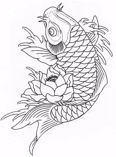手绘画素材书,100张手绘素材图片