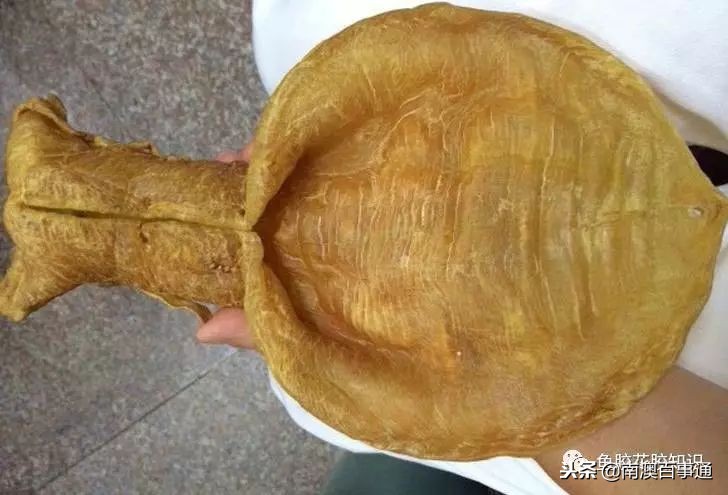 涨知识系列详解,涨知识简短