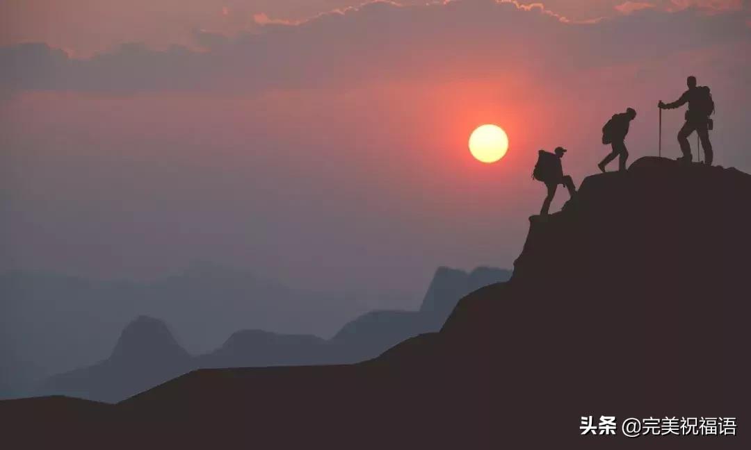 渡人渡己更难,渡人渡己小说完全版