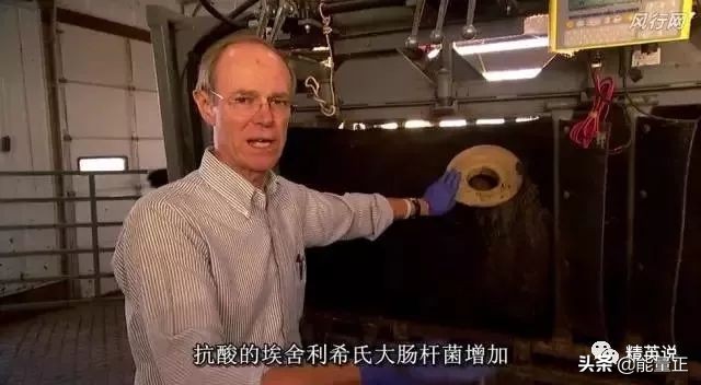 因为一个汉堡，她亲眼看着儿子死去！美国工薪阶层吃的食物有多脏