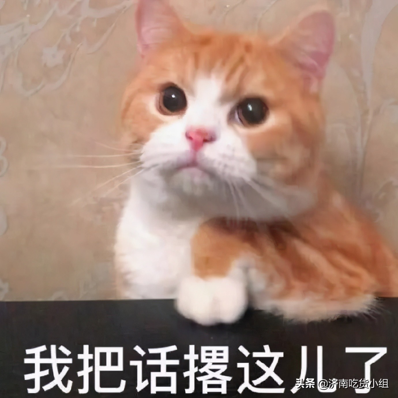 有什么口味的青团好吃,苏州哪家青团最好吃而且品种多