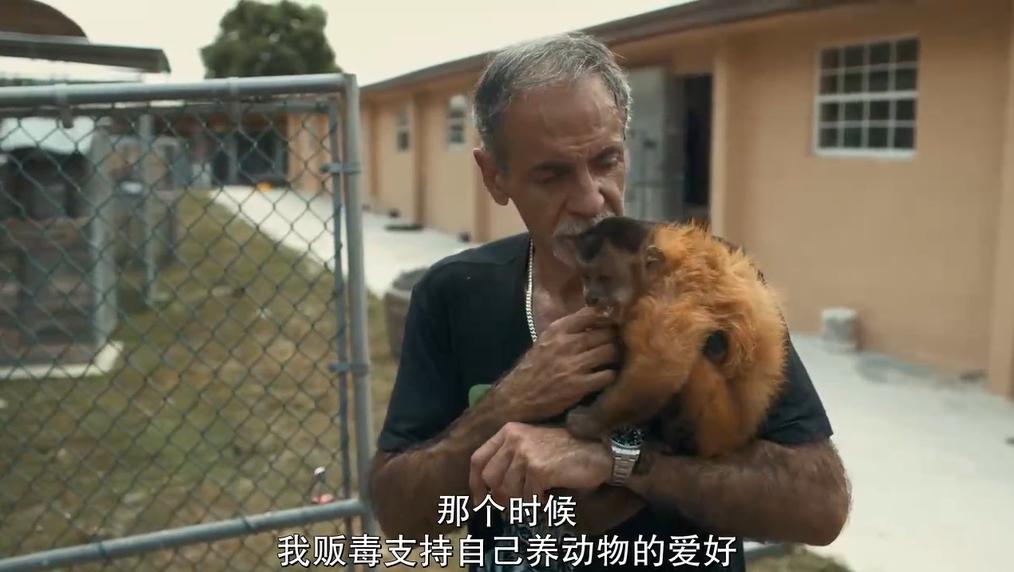 一夫多妻、*教邪***脑洗**、富豪失踪，你敢跟我说是真人真事？