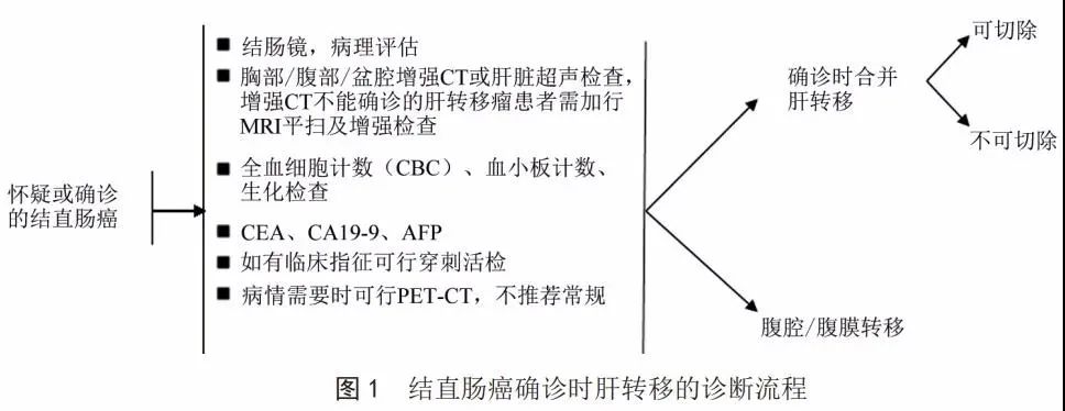 县中医院首例腹腔镜手术圆满告捷,直肠癌腹腔镜手术告捷案例