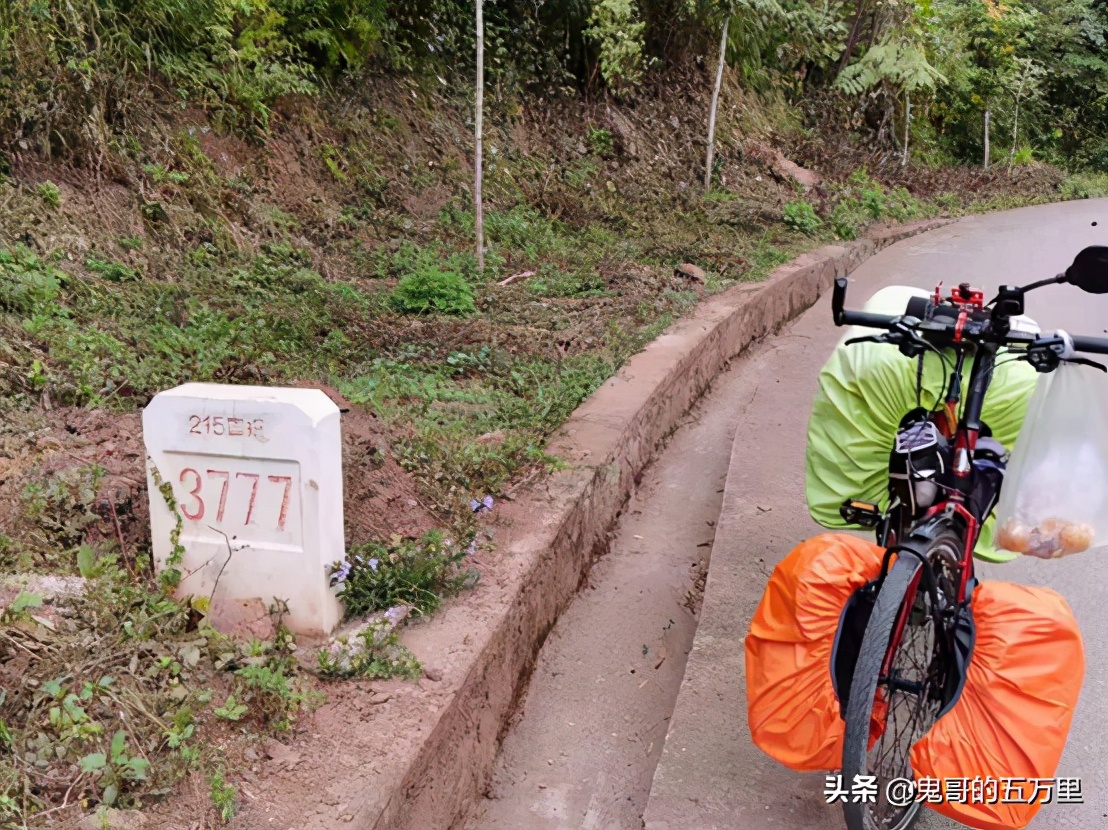 鬼哥的五万里D98骑记：树包塔包的是什么？（按板镇-景谷县）
