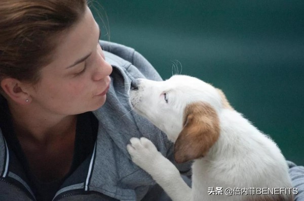 狗子为什么臭臭的,总觉得自家的狗狗脏