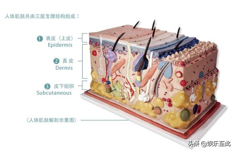敷面膜之前要做什么吸收最好,敷面膜之前要用什么能够促进吸收