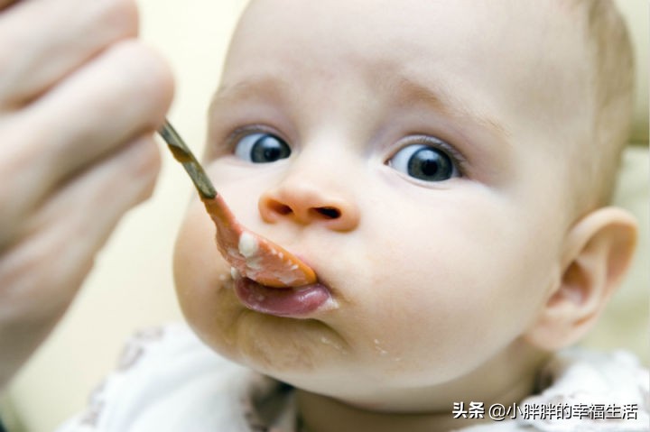 婴儿补铁辅食6-12个月的辅食做法,婴儿辅食6-12个月的辅食菜谱书