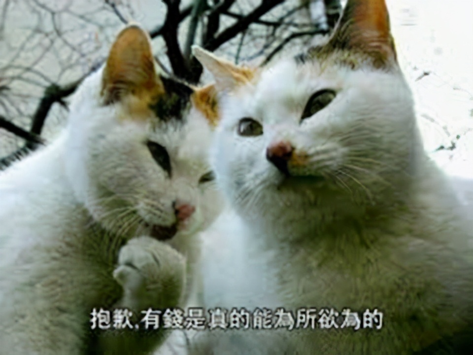 2019年腾讯游戏最赚钱游戏排名,腾讯最近10年赚钱的游戏排行